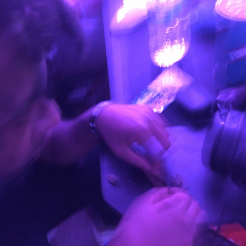 Stream Groovy Ft Cjhunchooo Chaaseit By Exx Listen Online For Free On Soundcloud