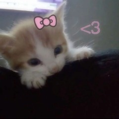 Bôa - Duvet (jerk remix)