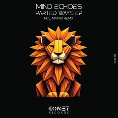 Mind Echoes - Near The Sky (Original Mix)