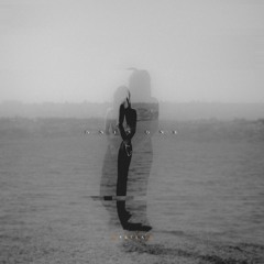 Ṿ Ʌ Ẏ U & Veela - Only One