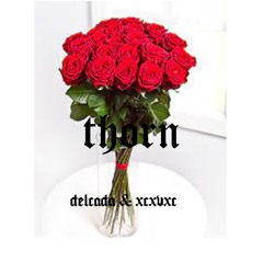 delcada & xcxvxc - thorn (prod. evan jolley & taurs)