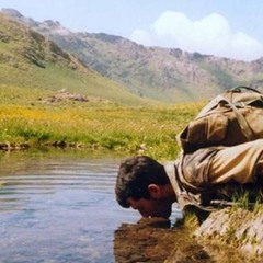 Herba Mejnunbim-Kamkerekan - هەربا مەجنوونبم- کامکارەکان