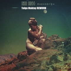 Hani Niroo - Shokoofeh (Tolga Maktay Rework)