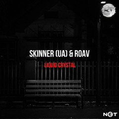 Skinner (UA) Roav - Liquid Crystal (Original Mix)