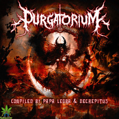 Mental Maze 242 (VA Purgatorium - Nightmare420 Crew)