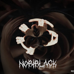 Flosstradamus & Viperactive - HITA (NOBIBLACK REMIX)