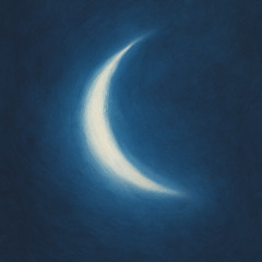 NIGHT haze