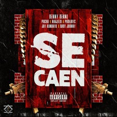 Se Caen (feat. Pouliryc, Joy Almanyk & Baby Johnny)