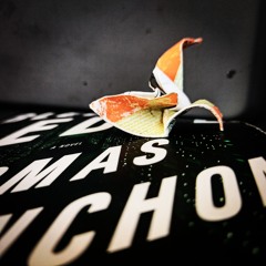 Pringle chip equation - Driscoll's song. (bleeding edge by Thomas Pynchon)