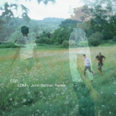 LDM - John Beltran Remix