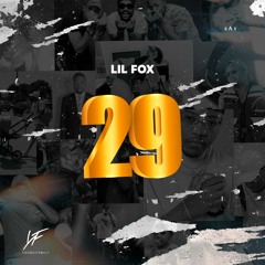 Lil Fox-2.9