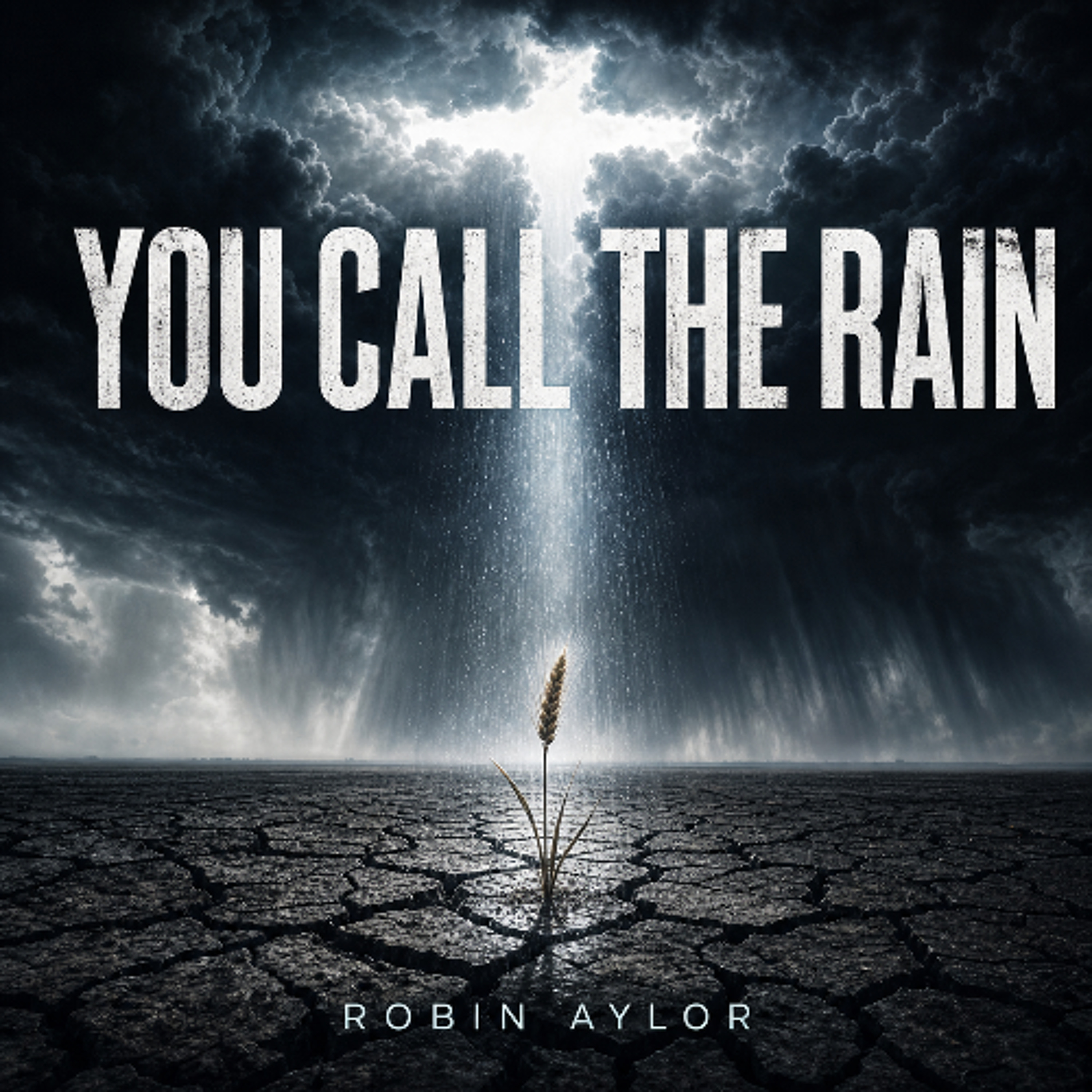 You Call The Rain episode artwork