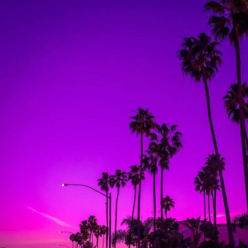 Pashanim Mittelmeer [160er OnePattern]