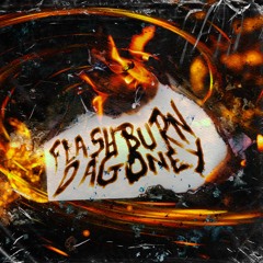 Flashburn  (FREE DOWNLOAD)