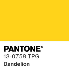 Dandelions (Original Song - Acoustic Demo)