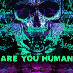 Are You Human WIP