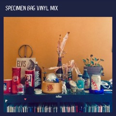 Specimen Bag Vinyl Mix
