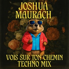 Vois sur ton chemin (Remix JM)