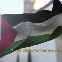 Free Free Palestine - A Protest Song for Justice