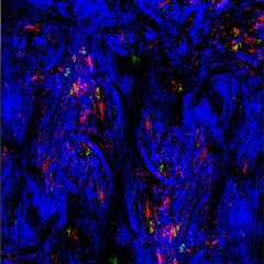 ⇳̸̛̩̩͓͌̋͌͐̃́⇶̴̯̳̟͇̰̑̎̊̈́̌͘⇶̵̻͇͙̰̭̤̂̍͋̀̂̅̚ͅ↫̵̡̤͍̤͈͇̦̉́́̑͑̃↶̸̭͈̮̘̰̖̲̒↻̸̧̝̲̼͇̳͎͎̓̉͌̅͘  [DEMO]