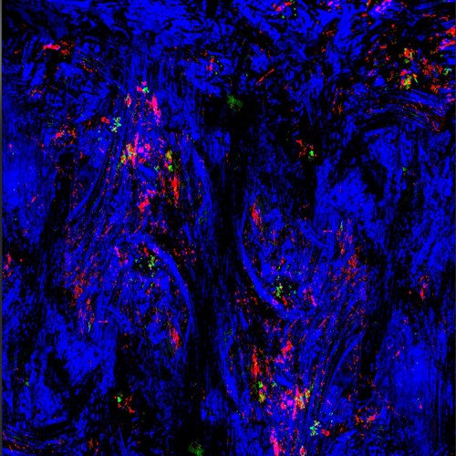 ⇳̸̛̩̩͓͌̋͌͐̃́⇶̴̯̳̟͇̰̑̎̊̈́̌͘⇶̵̻͇͙̰̭̤̂̍͋̀̂̅̚ͅ↫̵̡̤͍̤͈͇̦̉́́̑͑̃↶̸̭͈̮̘̰̖̲̒↻̸̧̝̲̼͇̳͎͎̓̉͌̅͘  [DEMO]