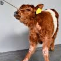 i spilled coke everywhere