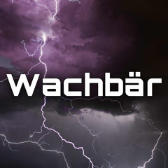 Nebelschall ~Wachbär