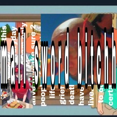 certified airplane classic (ft bob)