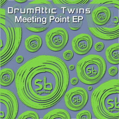 Meeting Point (Shades Of Rhythm Remix)