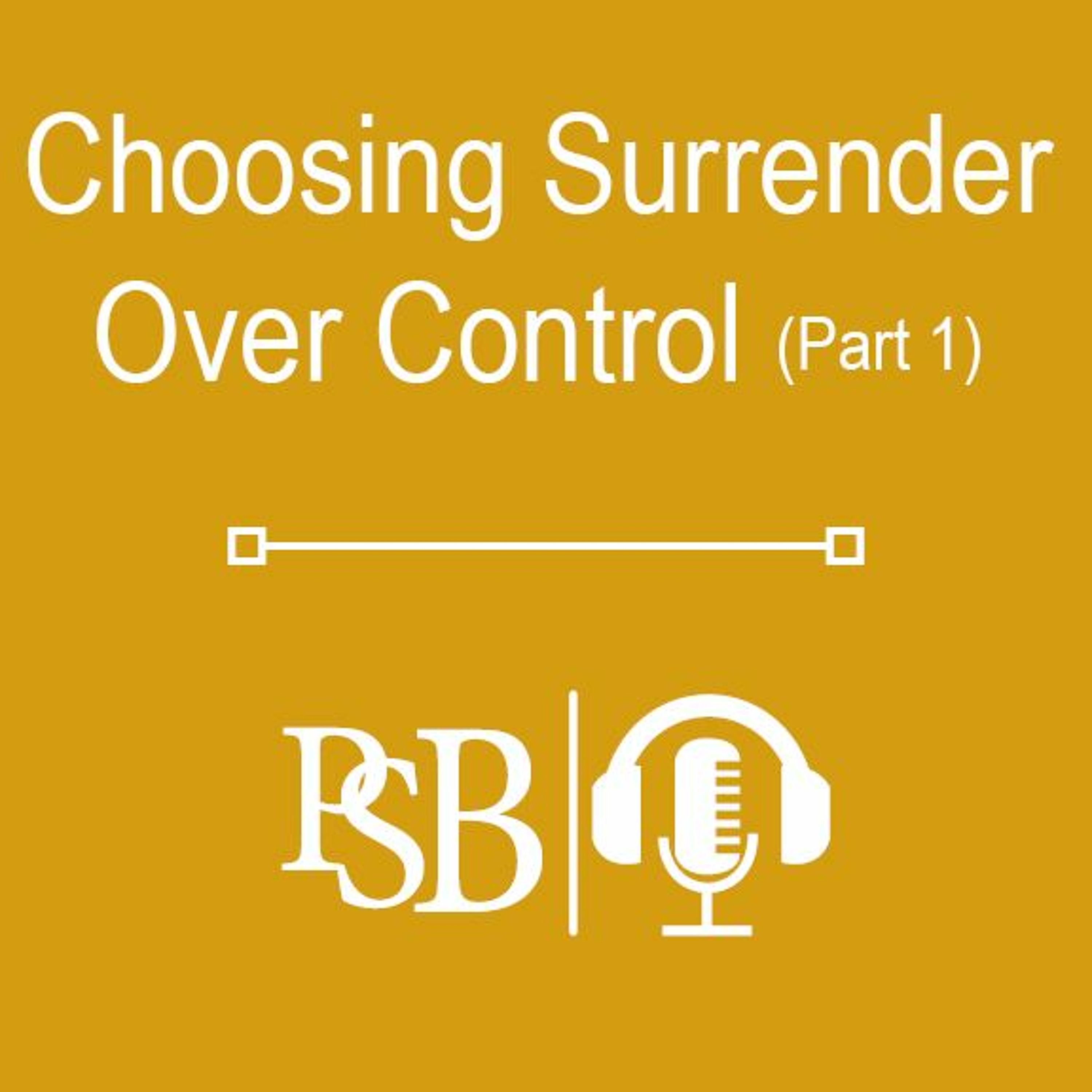 229 | Surrender Over Control: part 1 of 2 (with Brandon Young) episode artwork