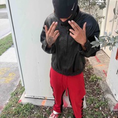 ARP3 (22 x SOUFIAN X GLOZULA)