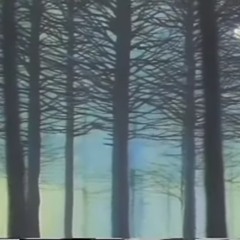 silhouette of a dead tree