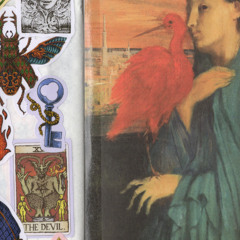 NOIX DE COCO AU CENTRE D’ACHATS