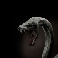 Nightmare Fueled Money Ft. Takinyadxwn_ (Free Take💔)