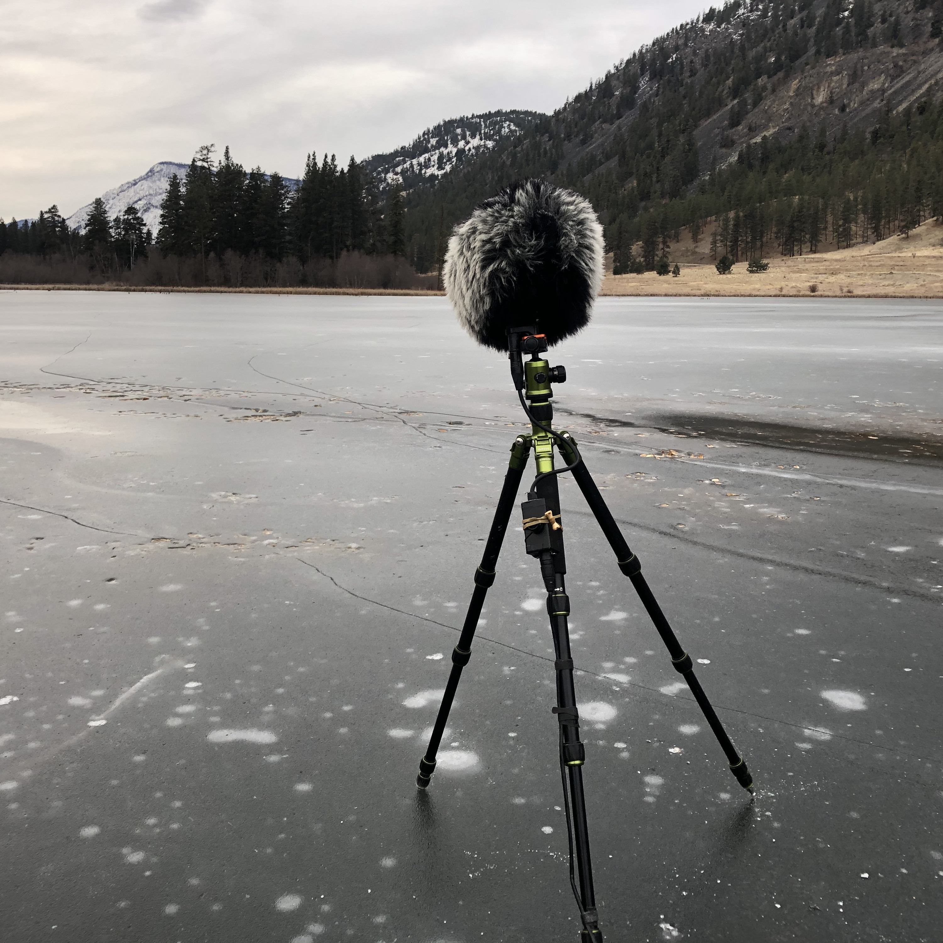 Northwest Soundscapes