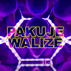 Pakuje Walize (feat. Zawad & Zebraodzawsze)