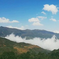 Sắp vào đông