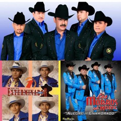 Tucanes, Exterminador, Morros del Norte Mix