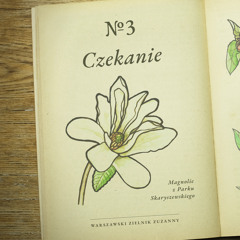 Czekanie