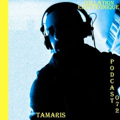 Label Néon - Tamaris / Collation Electronique Podcast 072 (Continuous Mix)