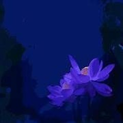 Along Came The Blues  (turkish hash vers)