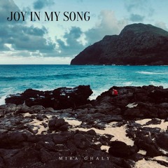Joy In My Song