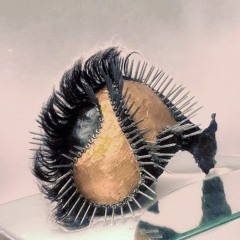 𝕲𝖎𝖗𝖑𝖘 𝖏𝖚𝖘𝖙 𝖜𝖆𝖓𝖓𝖆 𝖍𝖆𝖛𝖊 𝖋𝖚𝖓 (𝕱𝖗𝖆𝖑𝖑𝖞 𝕽𝖊𝖒𝖎𝖝)