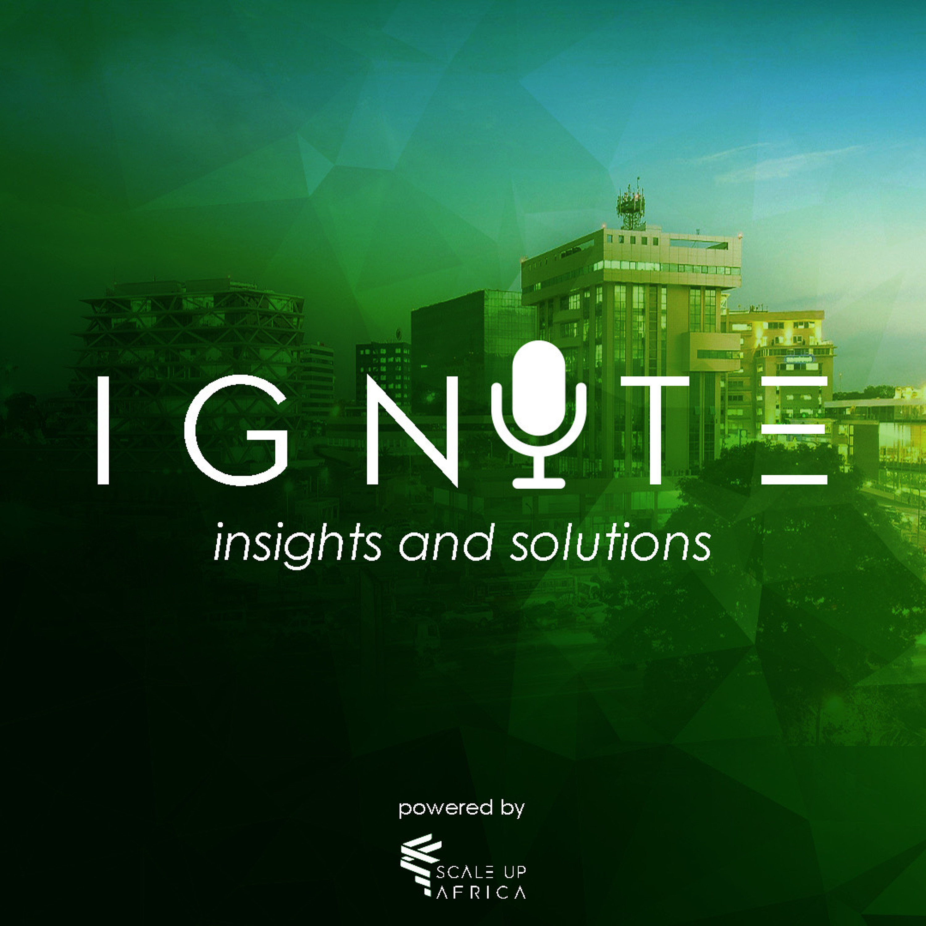 IGNITE Insights and Solutions