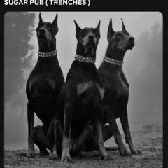 Sugar Pub (Trenches) - Naytee Vision ft. King Chaos 1of1 (Prod. by - CYFR 360)