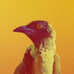 Say Nothing - Flume (RGK Remix)