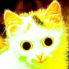 Cat on Cocaine - Kicker Mayhem
