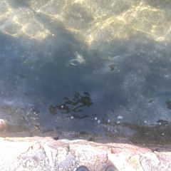 Ambient/Experimental Vinyl Set (Extract)