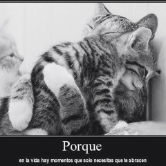 ayvamo ft enekidd (j balvin)