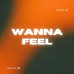 Delivered - Wanna Feel